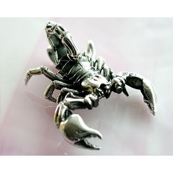 Skorpion Anhänger Silber 925  SH01